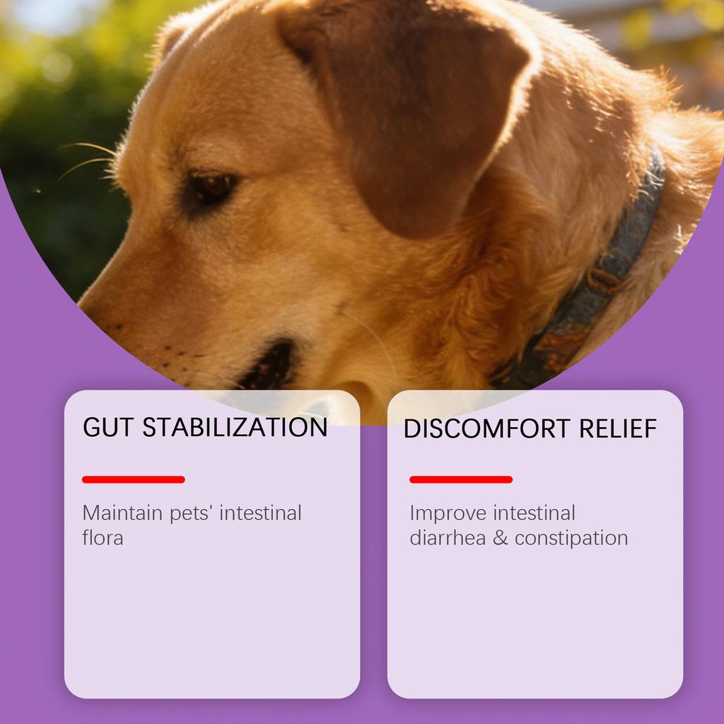 Probiotisk tarmpulver for hund