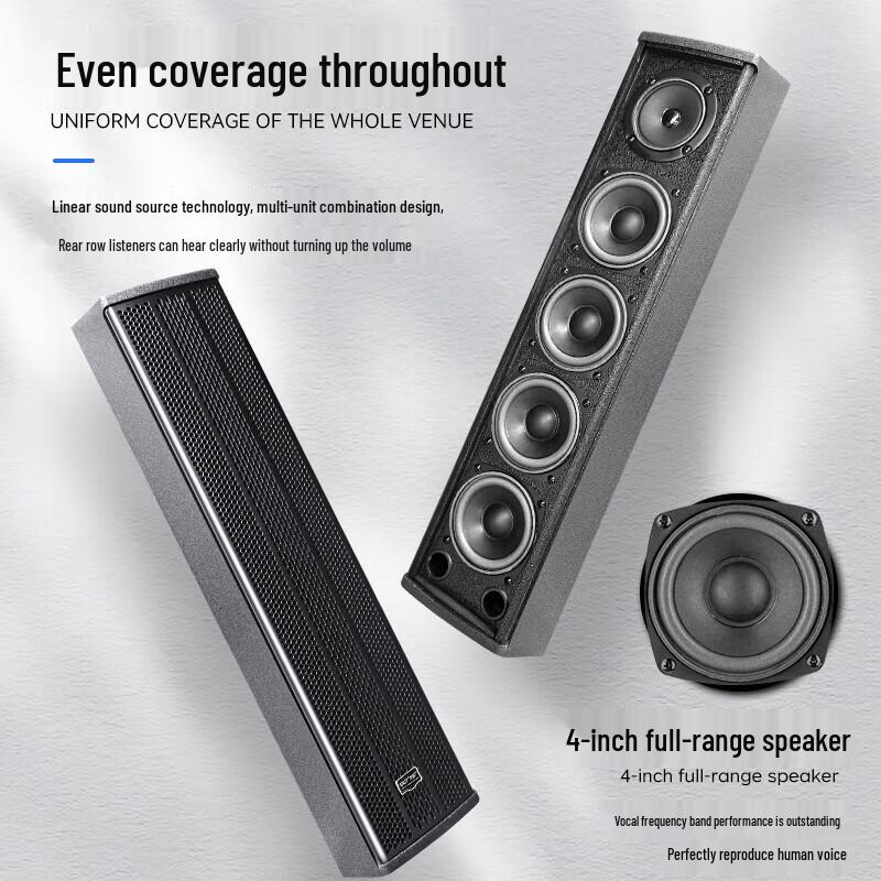 SAST Professional Conference Audio System CN plug (adapter included)