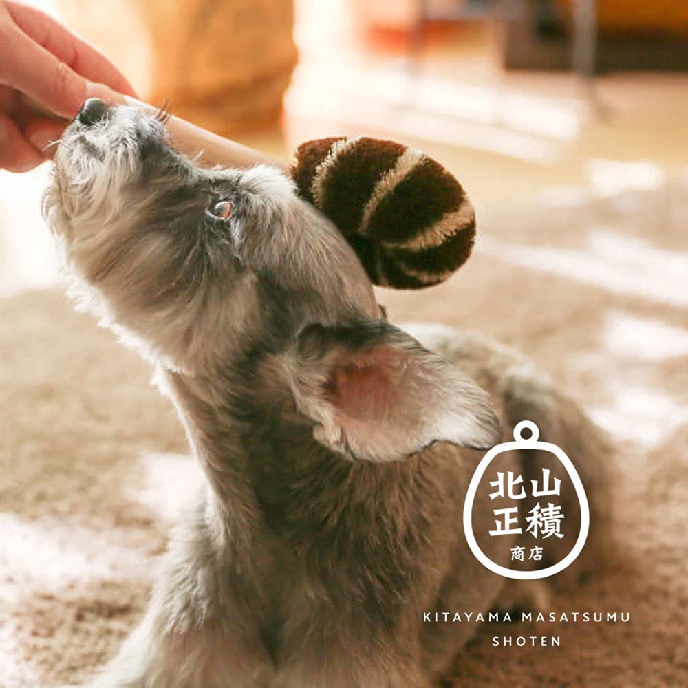 Masatsugu Palm Pet Brush for Dogs [Kitayama Shoten] Scrubber, Scrubber, (Type A)