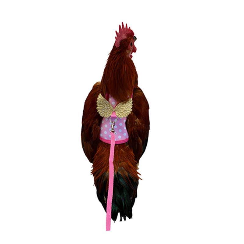 

Year-Round Rooster & Hen Costume Cloak with Leash Small