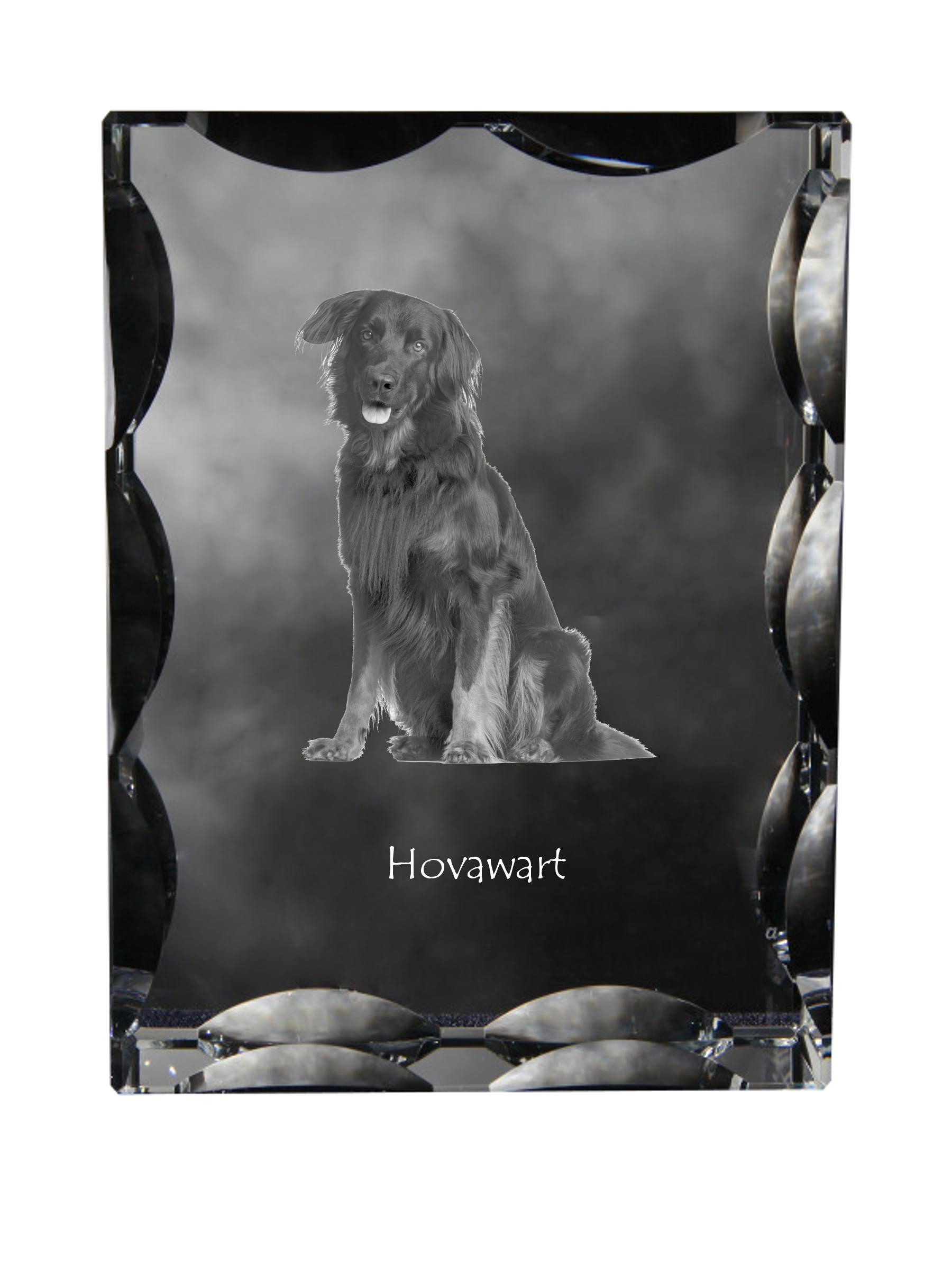 

Hovawart, Hovie - crystal with a picture of a dog, glass statuette with a picture, unique frame with a picture from Art-Dog brand прозорий