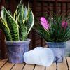 12 Pieces Yen In 3 Clear Plastic Plant Pots with Bottom Plates (365 Each) (Available Sizes) (Medium)