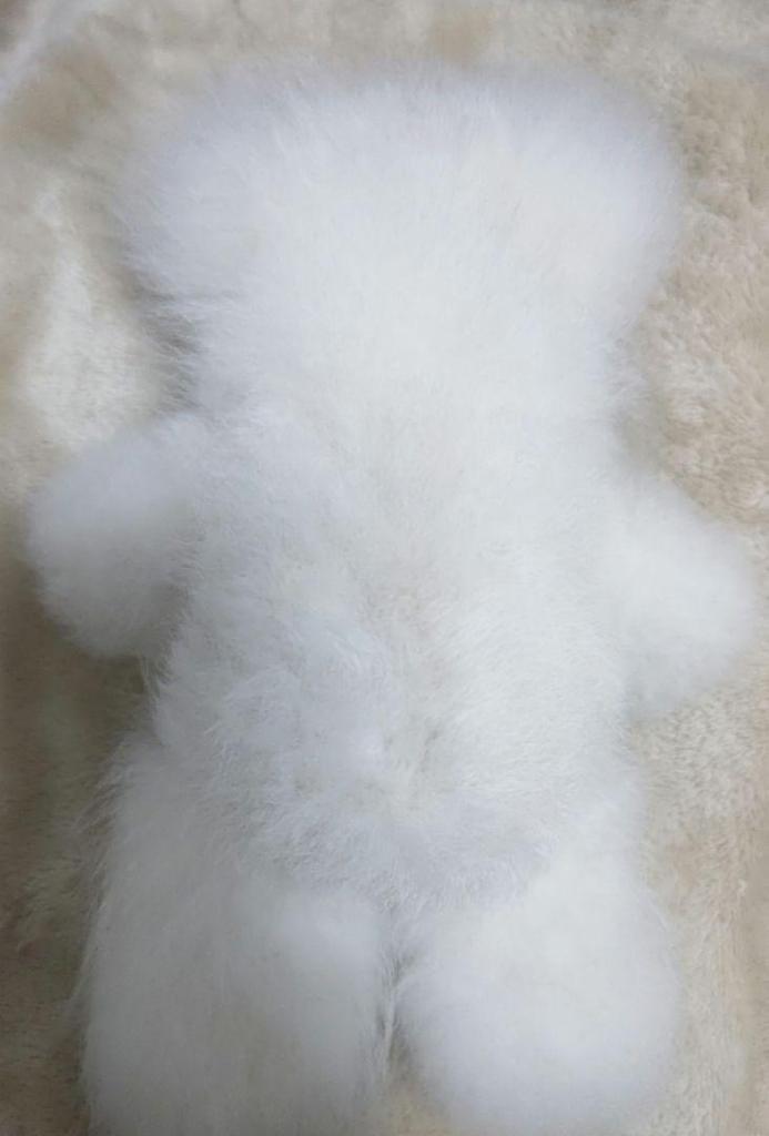 [USED] Fluffy Baby Alpaca Fur Teddy Bear. Anonymous Shipping.