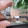 Portable Bicycle Bike Chain Wear Indicator Tool  Chain Gauge  Cycling Chain Measurement Tool