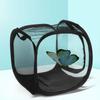 Butterfly Insect Cage Habitat Mini Insect and Butterfly -up Collapsible Insect Mesh Cage for Insect Pet Raising Supplies