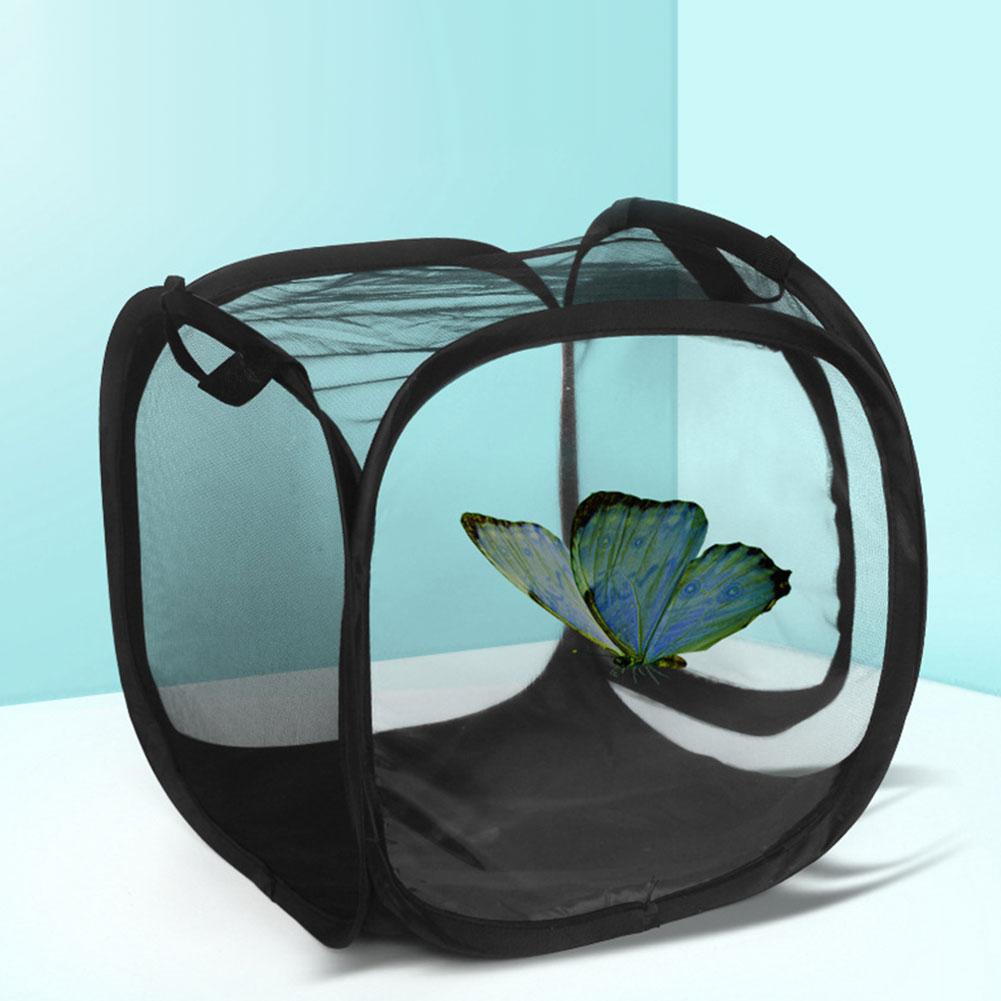Butterfly Insect Cage Habitat Mini Insect and Butterfly -up Collapsible Insect Mesh Cage for Insect Pet Raising Supplies