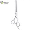 Gangfu Professional Japanese Hairdressing Scissors