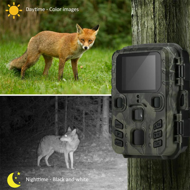 Outdoor 24mp 1080p Wildkamera Nachtsicht Bewegungssensor IP65 wasserdichte Gartenkamera Natur Wildlife Scouting Trap Game Cam