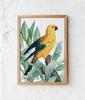Poster Golden Parrot Exotic Plants