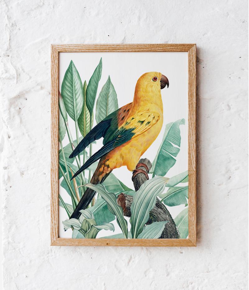 Poster Golden Parrot Exotic Plants