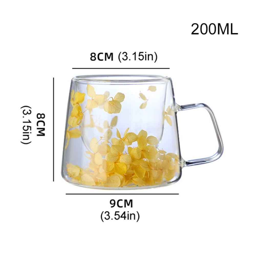 Double Insulated Dried Flower Glass Cup Coffee Tea Cup Clear Glass Cup Double Wall Mug  Household