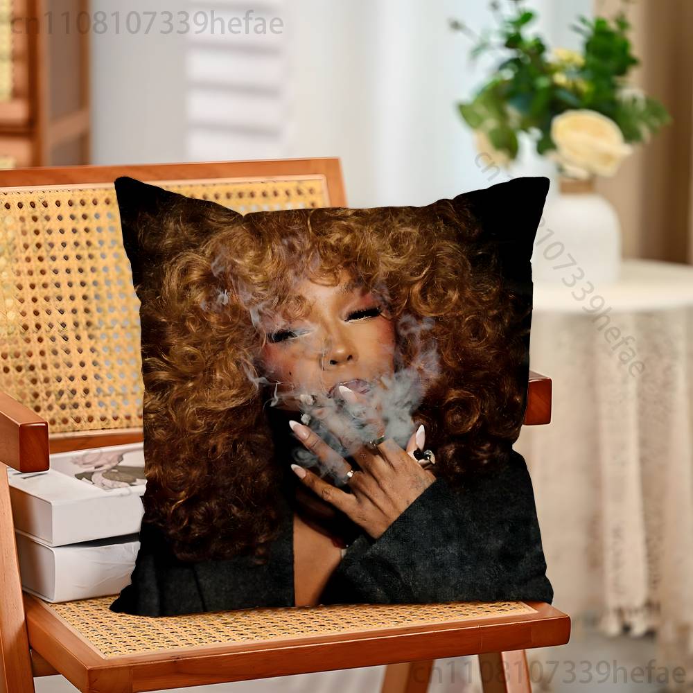

Singer SSZA Throw Pillow Case For Decoration 30cm 50cm 55cm Square Home Pillowcase Case 30x30cm