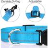 Reflective Dog Collar Strap with Adjustable Safety Nylon Pet Collar Pet Traction Rope Suitable for Small and Medium-Sized Pets