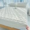 Plush Velvet Mattress Protector: Winter Taffeta Fitted Sheet & Cover for Simmons Bedspread