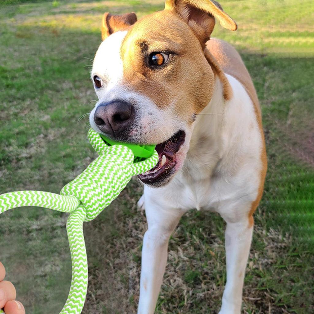 Interactive Dog Teething Toy: Tug-of-War Rope with Bite Ball and Night Light, for Indoor or Outdoor Play