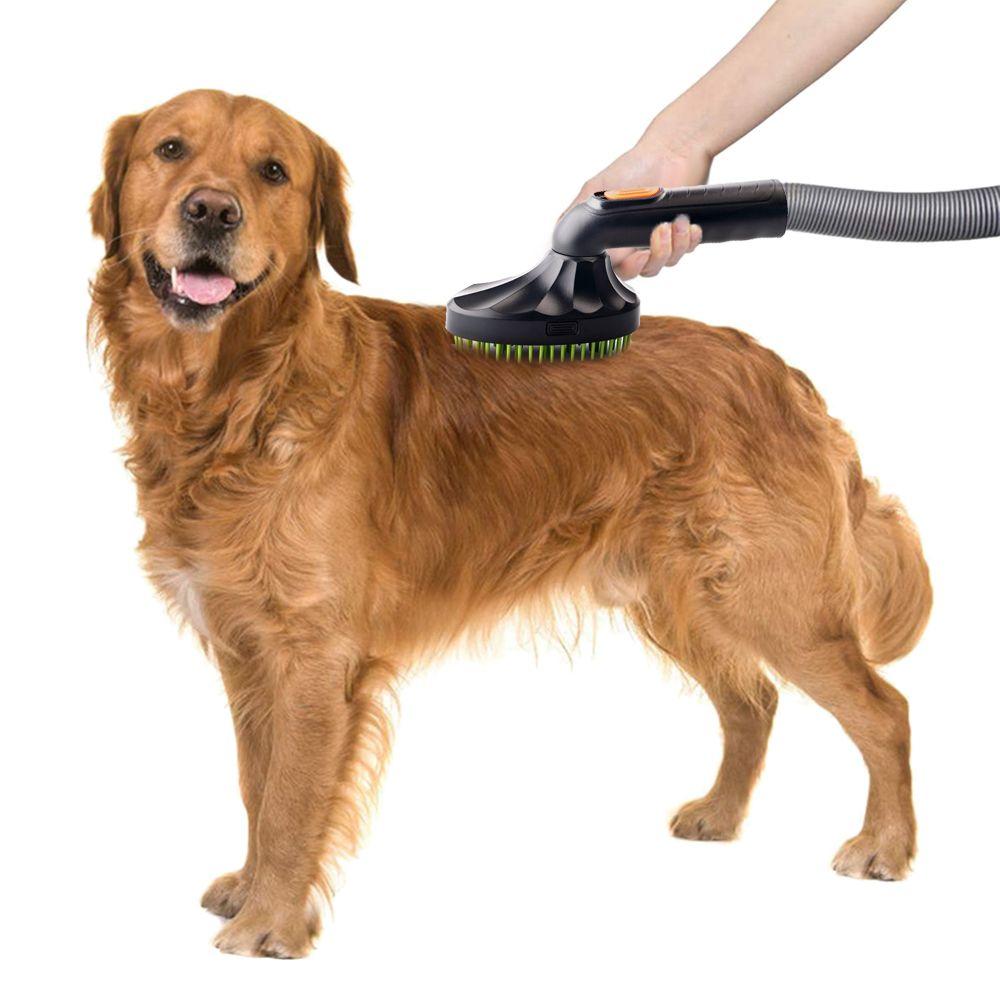 Compatible Pet Supplies Groom Tool Hair Brush Pet Brush Dog Cat Pet Bed Brush Vacuum Attachment