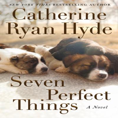 Seven Perfect Things by Catherine Ryan Hyde Paperback Book 9781542021548