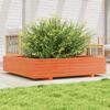 Plant Pot Wax Brown 110 X 110 X 26.5 Cm Solid Pine Wood