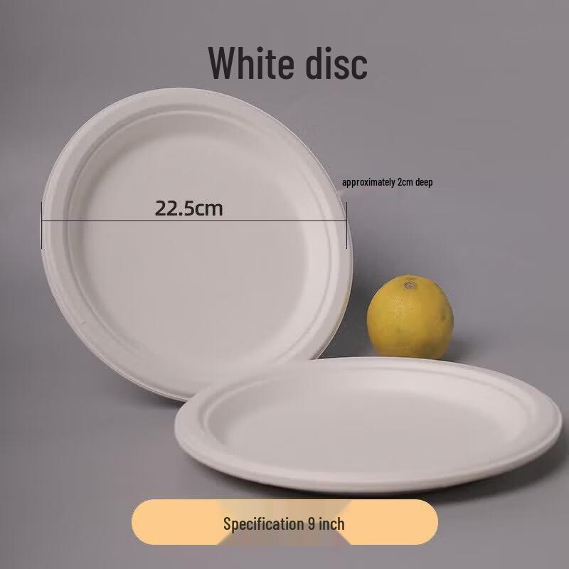 Biodegradable Disposable Plates & Dishes