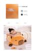 Capybara Hugging Pillow Plush Toy - Cute & Comfy Sleep Doll for Girls