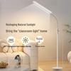 LED Floor Lamp: Study & Bedroom Reading Light for Students & Living Rooms