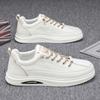 New Spring Men's Board Shoes Fashion Trendy Single Shoes Versatile Sports Casual Shoes Korean Style Youth Men's Shoes