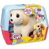Plysj - LITTLE LIVE PETS - Min ouchies-hund - Fra 5 år