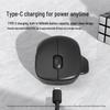 HP Professor SEC Ergonomic Wireless Mouse
