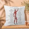 Muscle System Human Anatomy Diagram Medical Cushion Cover x Polyester Sofa Cushions Decorative Throw Pillows