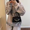 French Niche Fashion Women's Bag 2025 New Armpit Bag Splicing Commuter Handbag Oblique Span Bag Tide