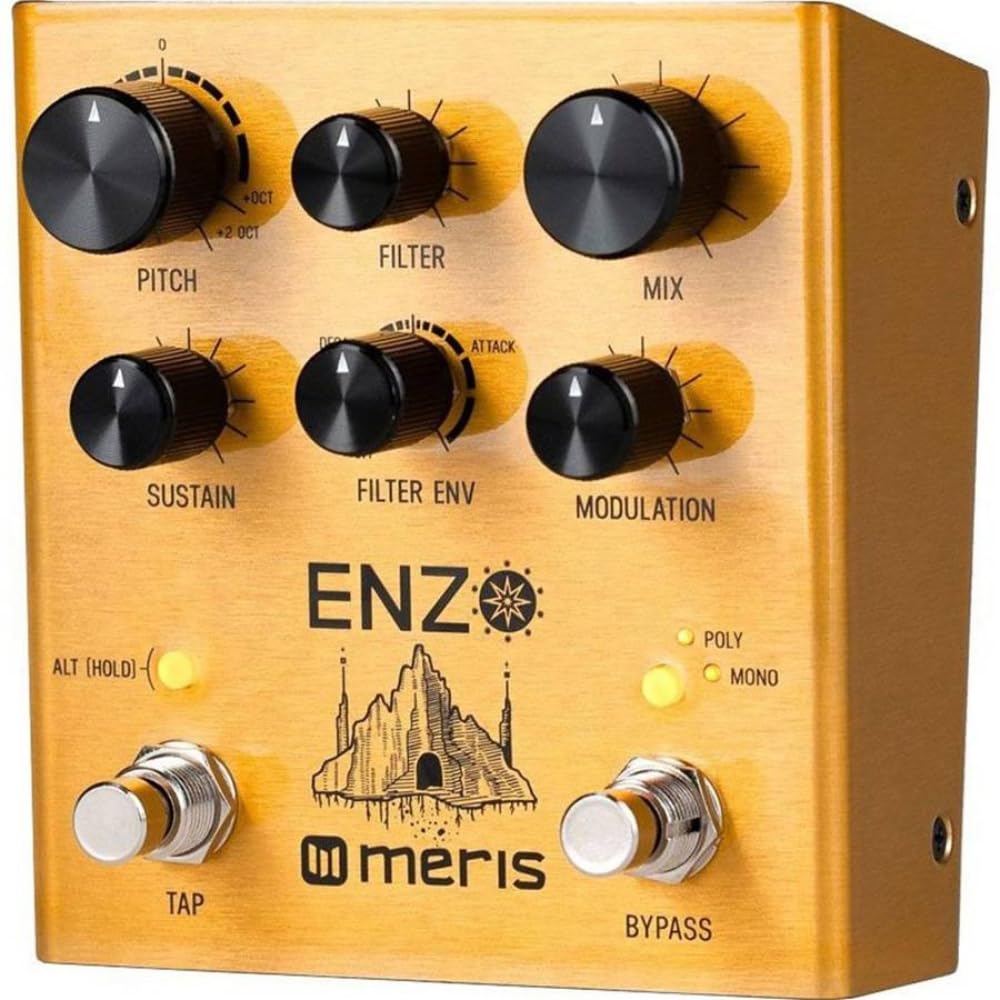 Meris Enzo Pedal Synthesizer Pedal Effects Pedal EZO-DST Multi-Voice