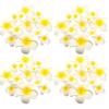 Set Of 50 Silk Plumeria Florals Realistic Yellow White Artificial Flower Beach Wedding Party Decoration
