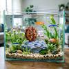 Peixes e animais aquáticos – Decoração de aquário