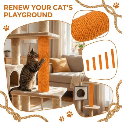 Kedi – Kedi Eğitim Aparatları