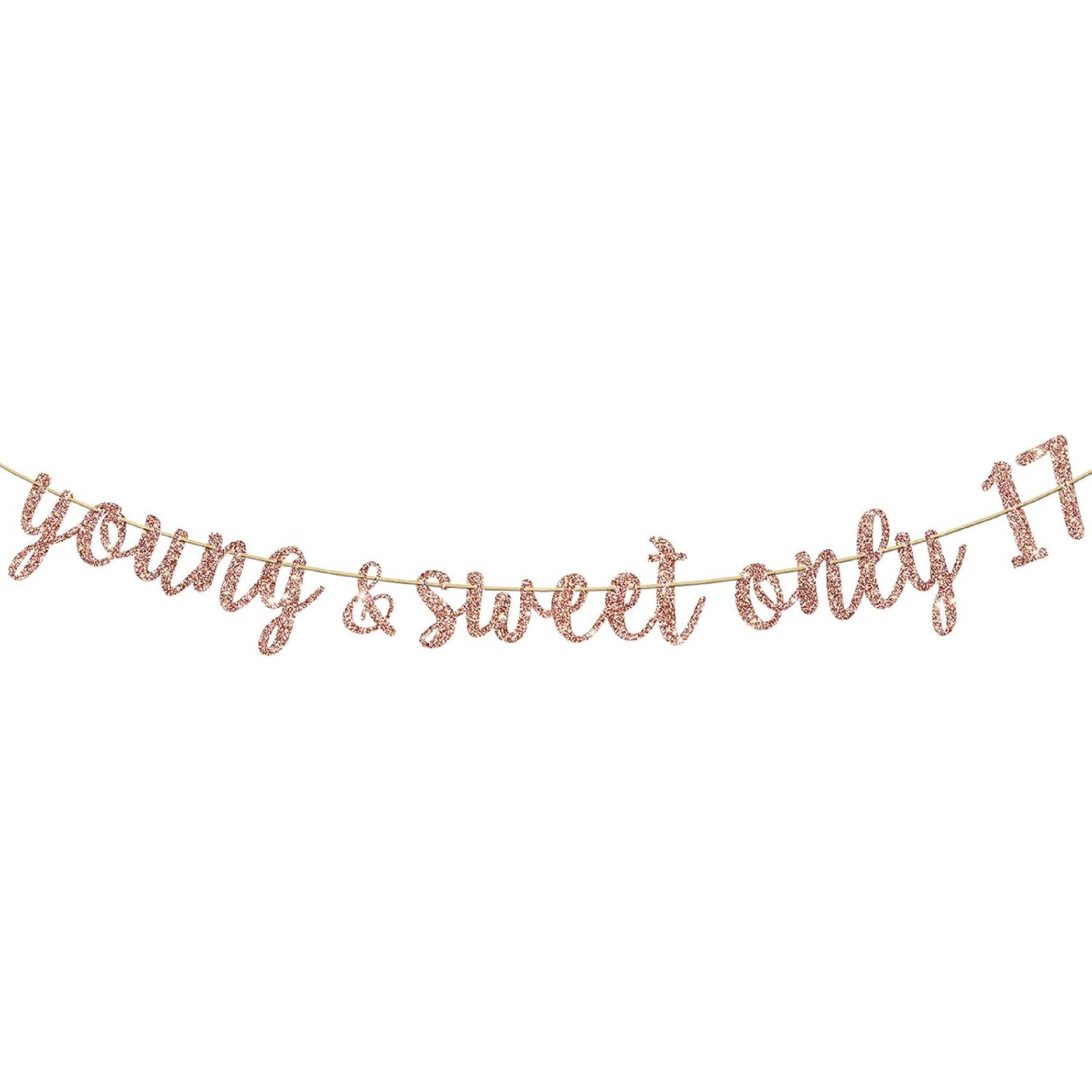 Young & Sweet Only 17 Banner, 17th Birthday Party Decorations, Dancing Queen 17 Birthday Anniversary Party Supply Rose Gold Glitter
