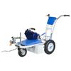 Electric Cold Spray Line Painter CN Plug (adapter Included)