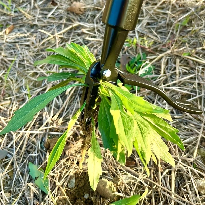 1pc 4-Claw Weed Tool Head - Professional Root Extractor for Tough Garden Weeds, Ergonomic Yard Maintenance Solution