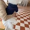 Warm Winter Pet Hoodie Versatile Plush Hoodie Teddy Bear Schnauzer Coat Pet Cat Small Dog Clothes for Small Dogs Puppy Clothing