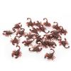10 Pieces Prank Fake Roaches Look Real Plastic Trick Joke Toys Scary Insects Realistic Bugs Gifts Novelty Cockroach