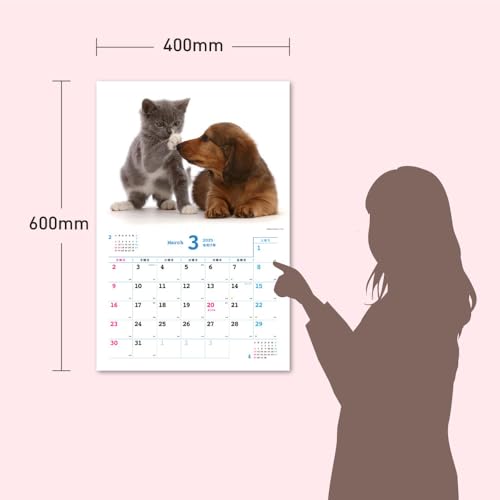 2025 Ημερολόγιο Nakayoshi Σκύλος/Γάτα <Γεμάτο χαριτωμενιά!> Κάθε μέρα είναι μια χαλαρωτική στιγμή > ([Ημερολόγιο])