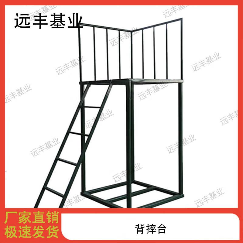 Outdoor Multi-functional Obstacle Training System with Trust Fall Platform