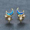 European and American Symmetrical Star Moon Micro Inlaid Zircon Earrings Delicate and Cool Style for Women