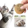 Gatos – Brinquedos para gatos