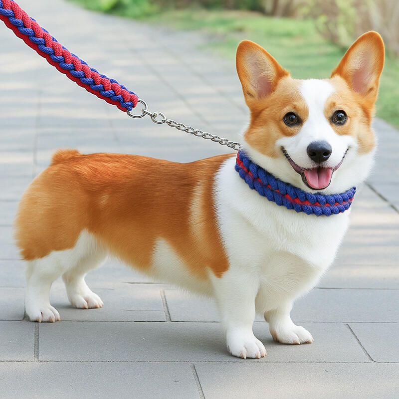 Rope large dog leash + lead (1.25m) dog leash
