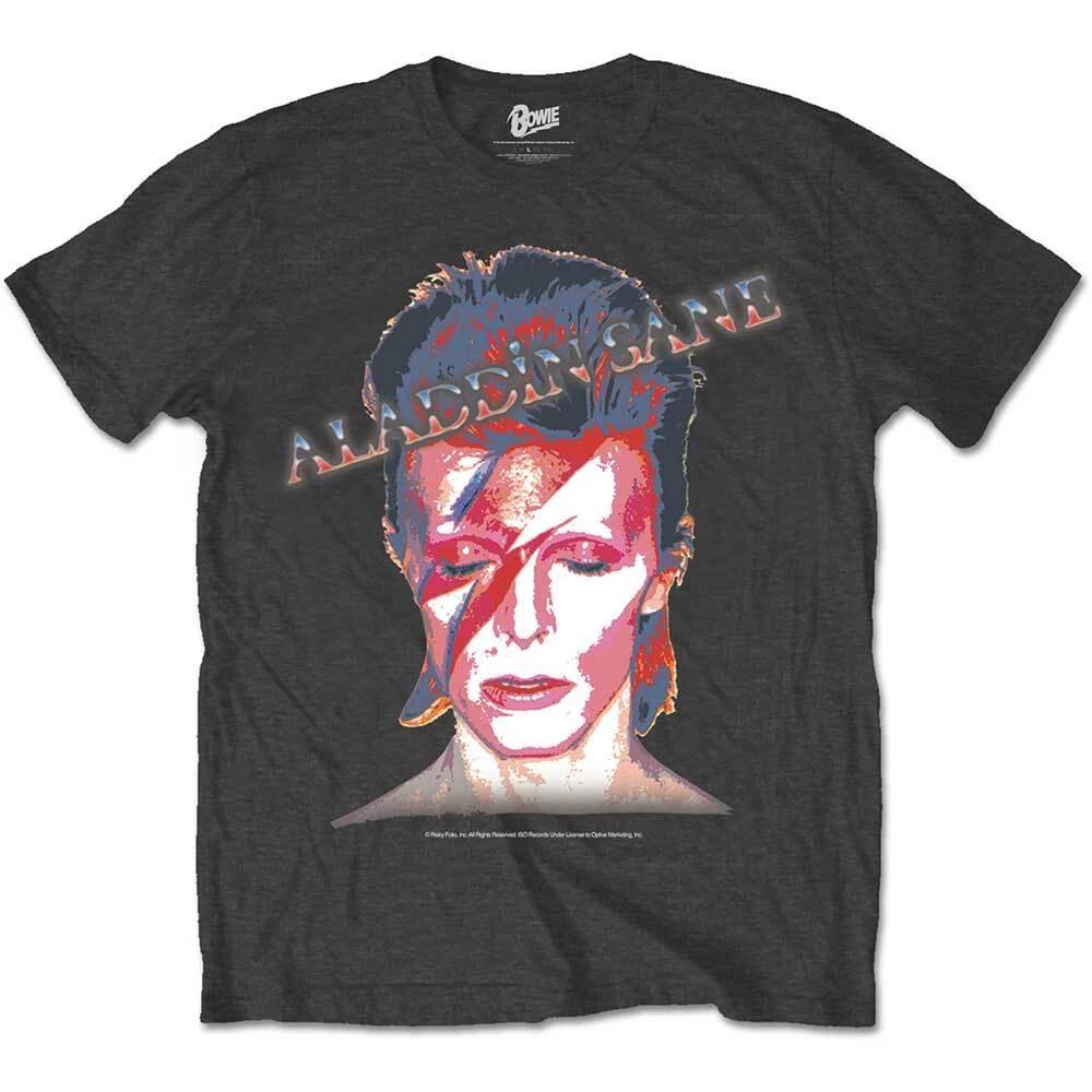 David Bowie Aladdin Sane Merchandise TShirt Gray New M