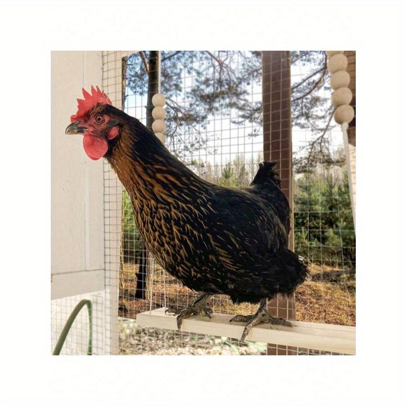 Chicken Swing Toy, Wooden Perch Stand For, Large Perch Ladder For Poultry, Chickens, Parrots, Pet Entertainment Toy