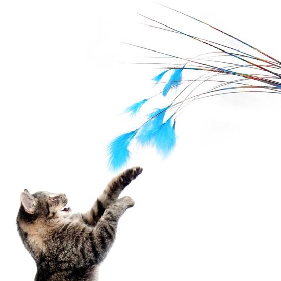 Cat Teaser Sturdy Creative Colorful Funny Cat Stick for Kitty