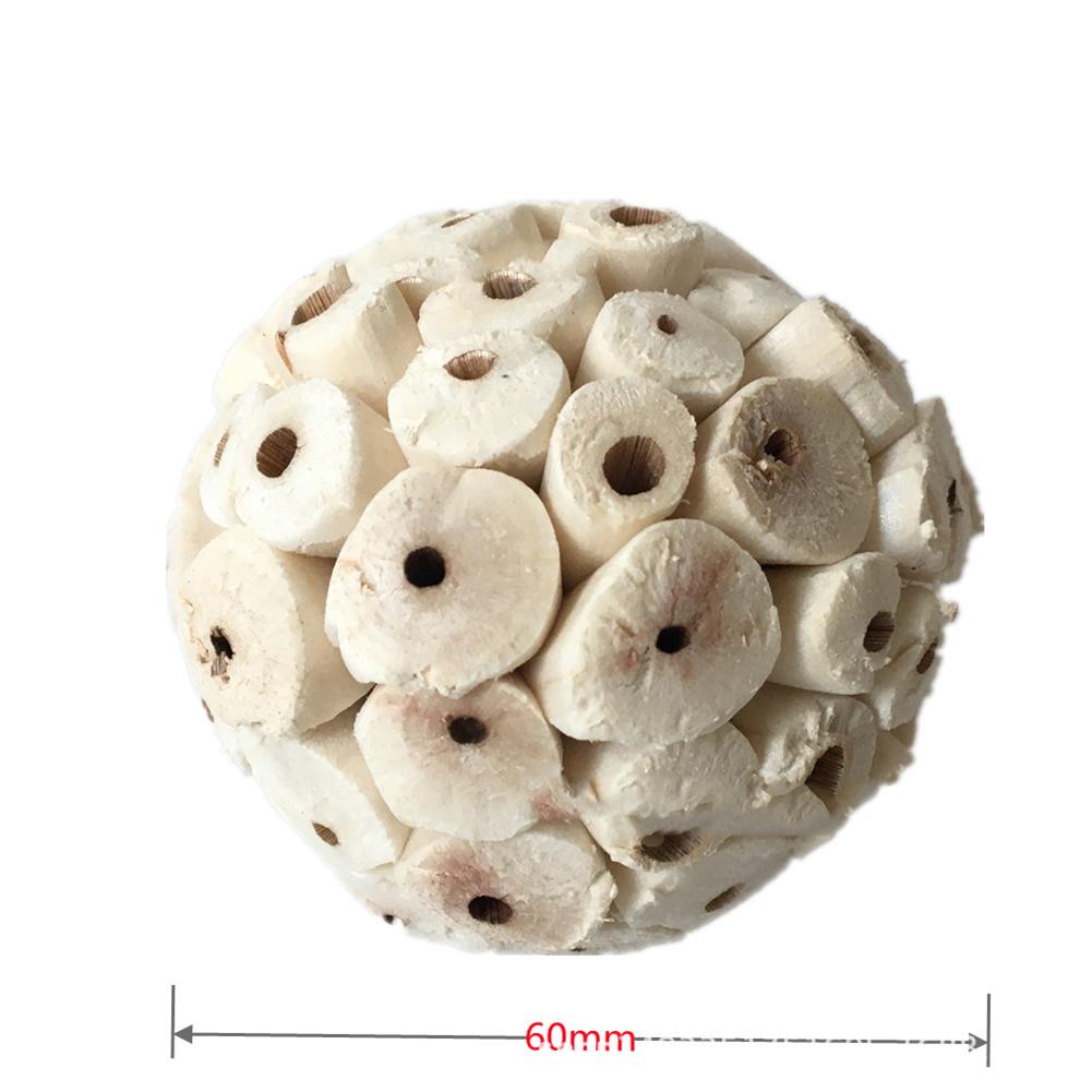 Naturalne Kule Sola Miękkie Gryzienie Zabawka Do Żerowania Dla Ptaków Królików Szynszyli Chomików Świnek Morskich