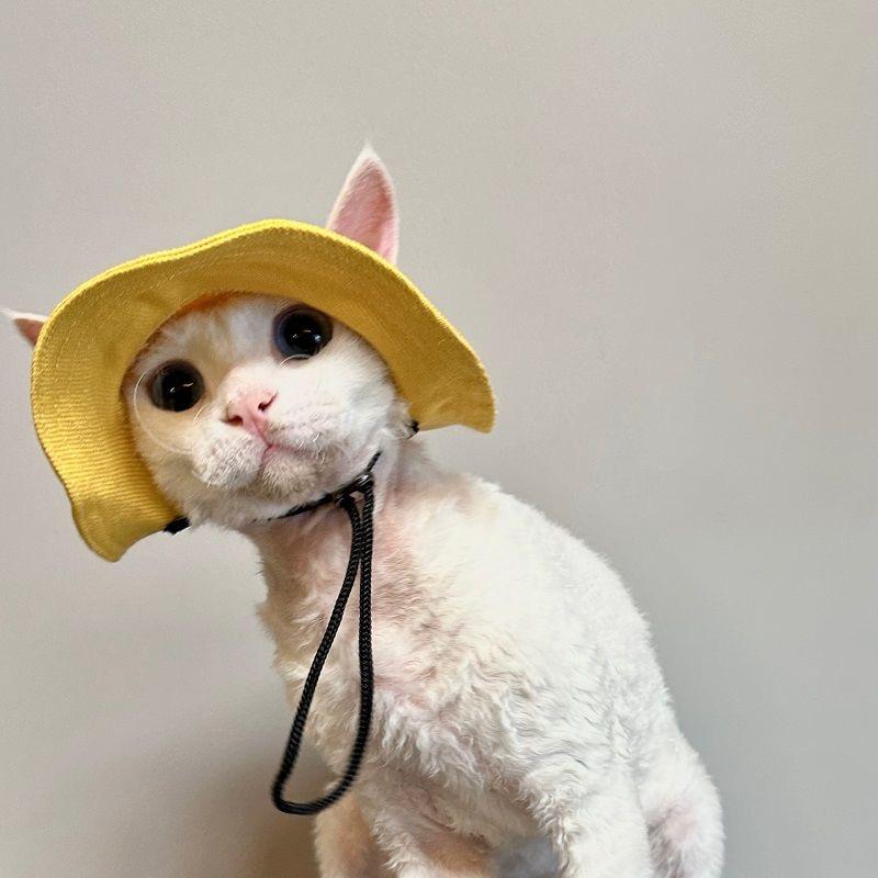 Tie Dye Pet Hat With Ear Hole Round Brim Dog Puppy Cat Sun Hat Bucket Hat Pet Decorative Accessories