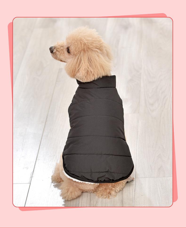 Warme, wasserdichte Baumwollweste für kleine und mittelgroße Hunde – Samtgefütterte Haustierbekleidung für Herbst und Winter
